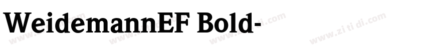 WeidemannEF Bold字体转换